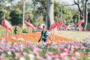 BIB: 
                            <button type="button" onclick="openModal(27344241)" class="btn btn-primary btn-sm float-right btn-popup" data-toggle="modal" data-target=".modal-high-quality">
                        <i class="fas fa-shopping-cart"></i> Add to Cart
                    </button>
                                            <button type="button" onclick="isThisMe(27344241, true)" class="btn btn-success btn-sm float-right btn-popup btn-isme hidden" data-toggle="tooltip" data-placement="bottom" title="นี่คือรูปของคุณใช่ไหม คลิกที่นี่เพื่อเอาเข้าอัลบั้ม">
                        <i class="fas fa-plus"></i> Add to album
                    </button>
                    <button type="button" onclick="isThisMe(27344241, false)" class="btn btn-warning btn-sm float-right btn-popup btn-isnotme hidden">
                        <i class="fas fa-ban"></i> Remove from album
                    </button>